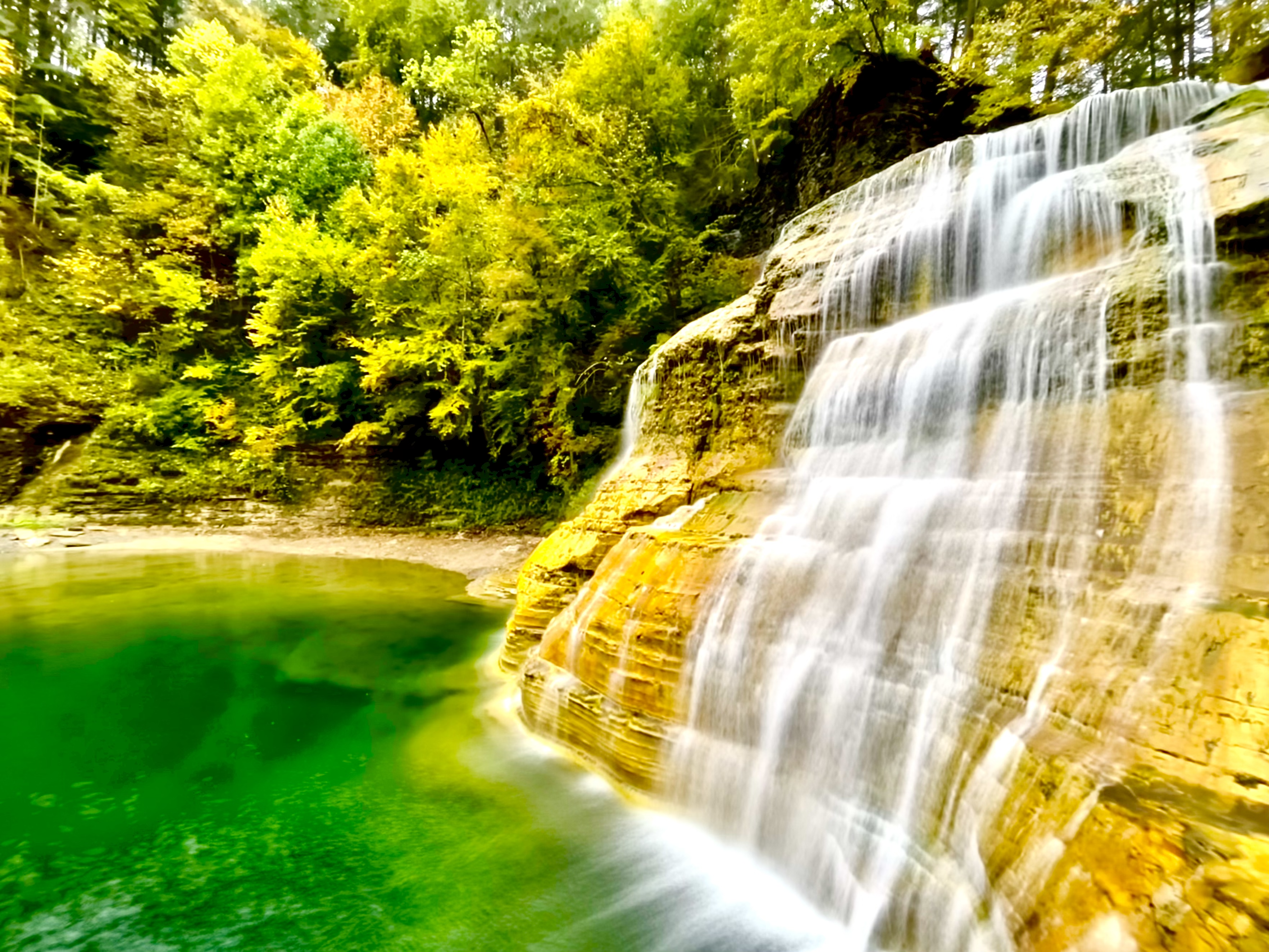 Enfield Falls