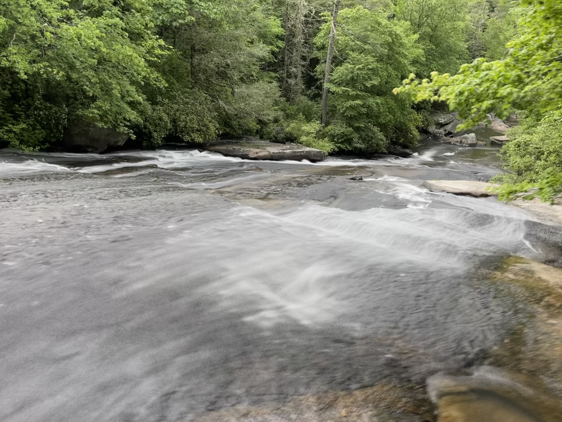 Grassy Creek