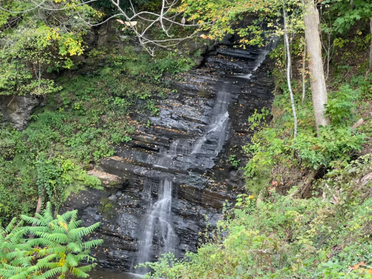 Pipestem